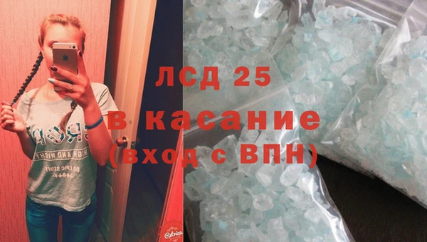 дмт Алзамай