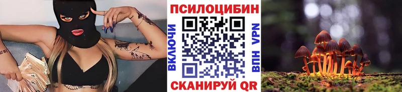 даркнет сайт  Волгоград  Псилоцибиновые грибы мицелий 