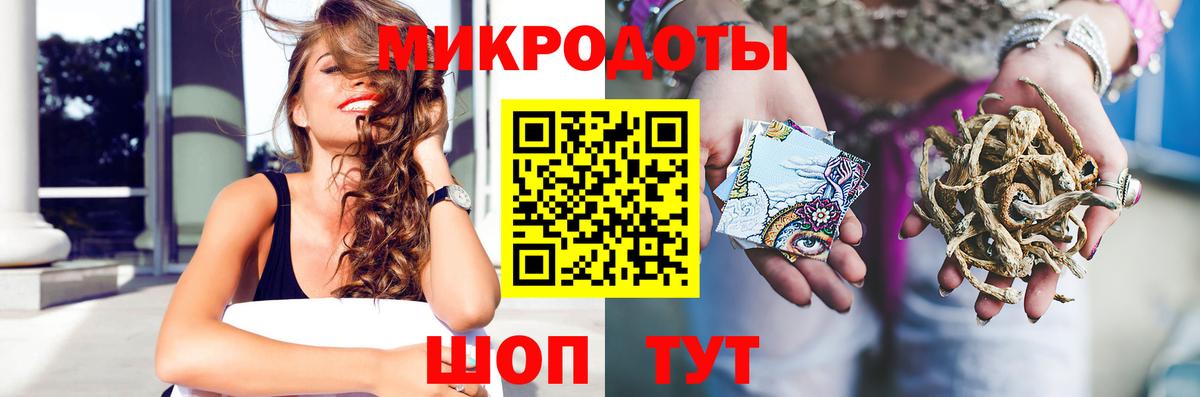 Волгоград  Псилоцибиновые грибы Psilocybine cubensis  Вход с VPN 